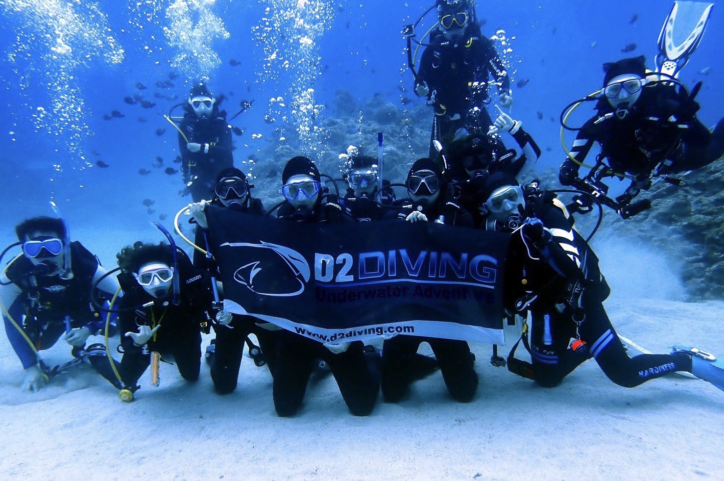 Ocard 星座誌- 射手座 慶生行程推薦：D2 Diving 潛水中心 潛水課程體驗